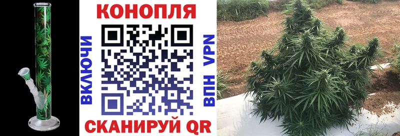 Наркошоп купить Канабис  Cocaine  APVP  Мефедрон  Якутск