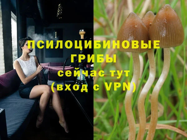 марки nbome Гусиноозёрск