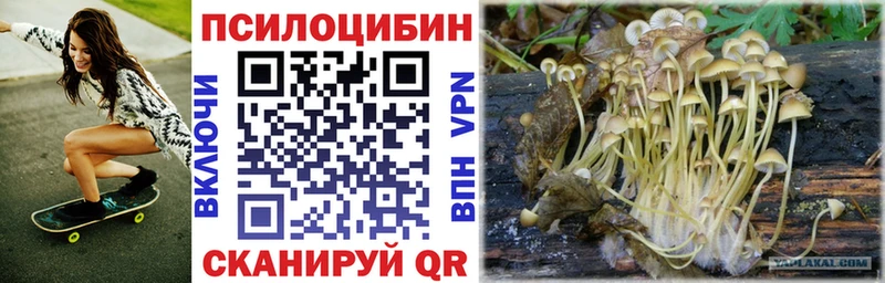 Псилоцибиновые грибы ЛСД Купить закладки Якутск